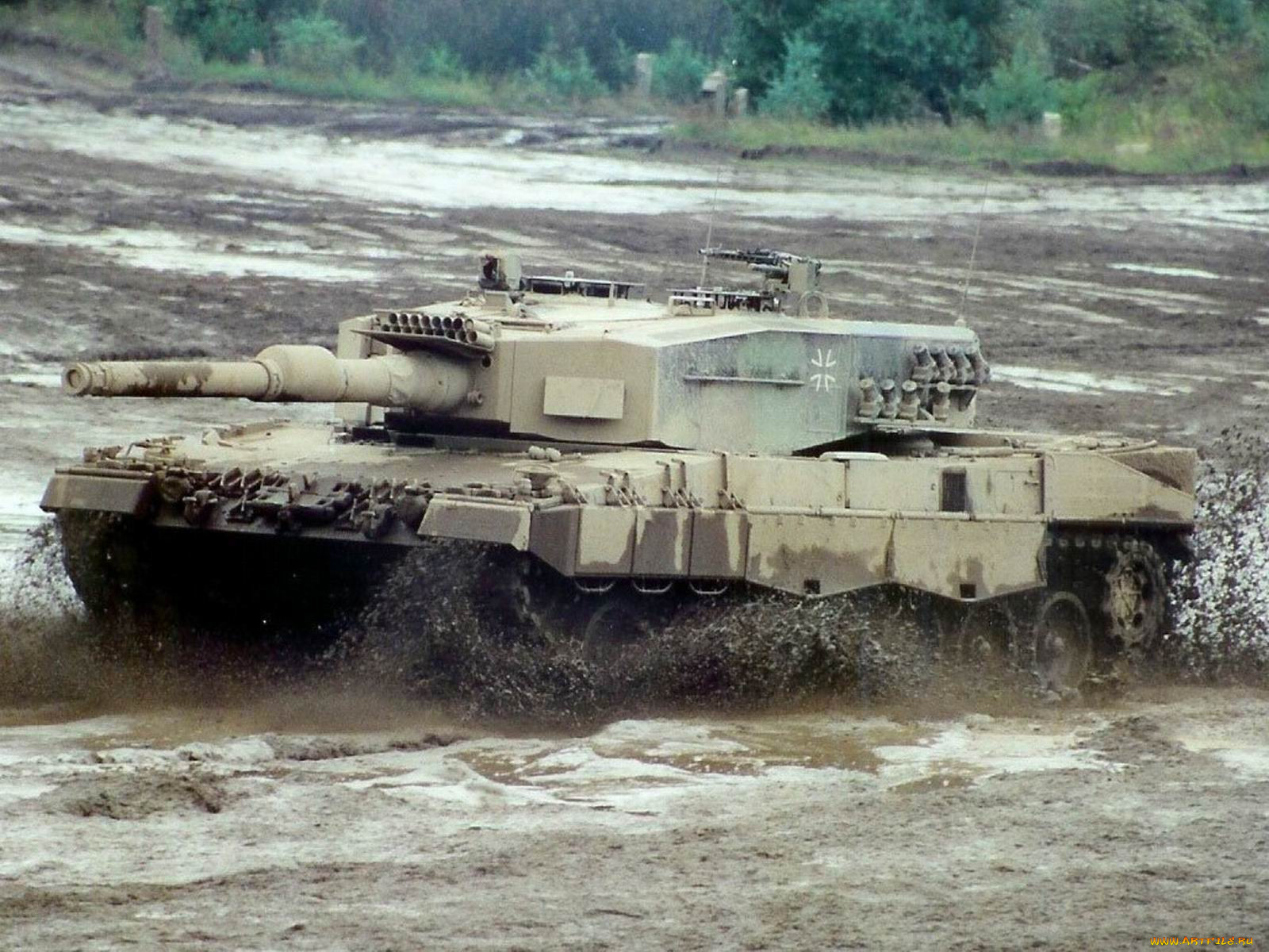 leopard, 2a4, , 
